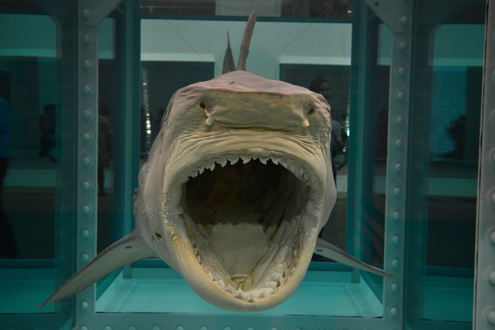 Damien Hirst. The Physical Impossibility of Death in the Mind of Someone Living. 1991. Tiger shark, glass, steel, 5% formaldehyde. 213 х 518 cm. Собрание Стивена А. Коэна