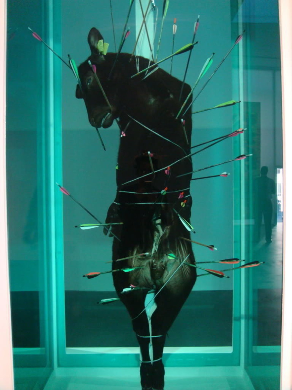 Damien Hirst. Saint Sebastian, Exquisite Pain. 2007. Glass, painted stainless steel, silicone, arrows, crossbow bolts, stainless steel cable and clamps, stainless steel carabiner, bullock and formaldehyde solution. 126.6 x 61.3 x 61.3 cm. The Goss-Michael Foundation, Dallas