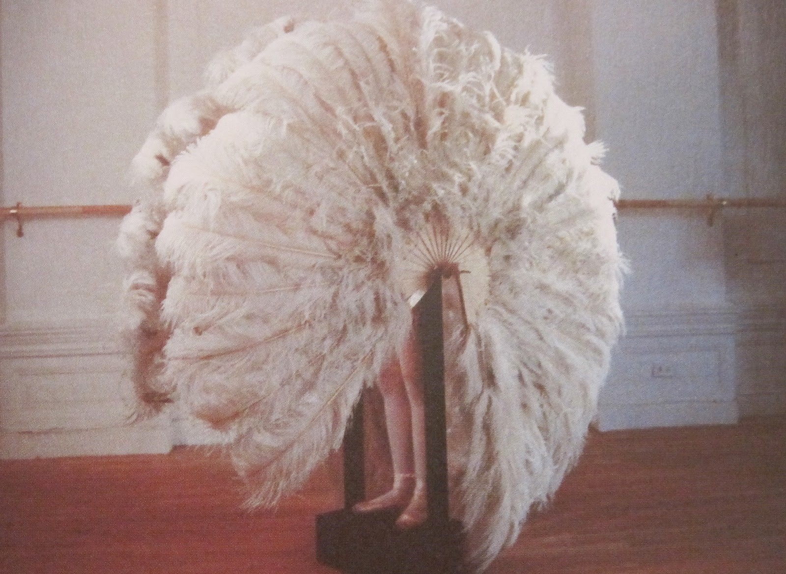Rebecca Horn. The Feathered Prison Fan. 1978. Private collection of Rebecca Horn.