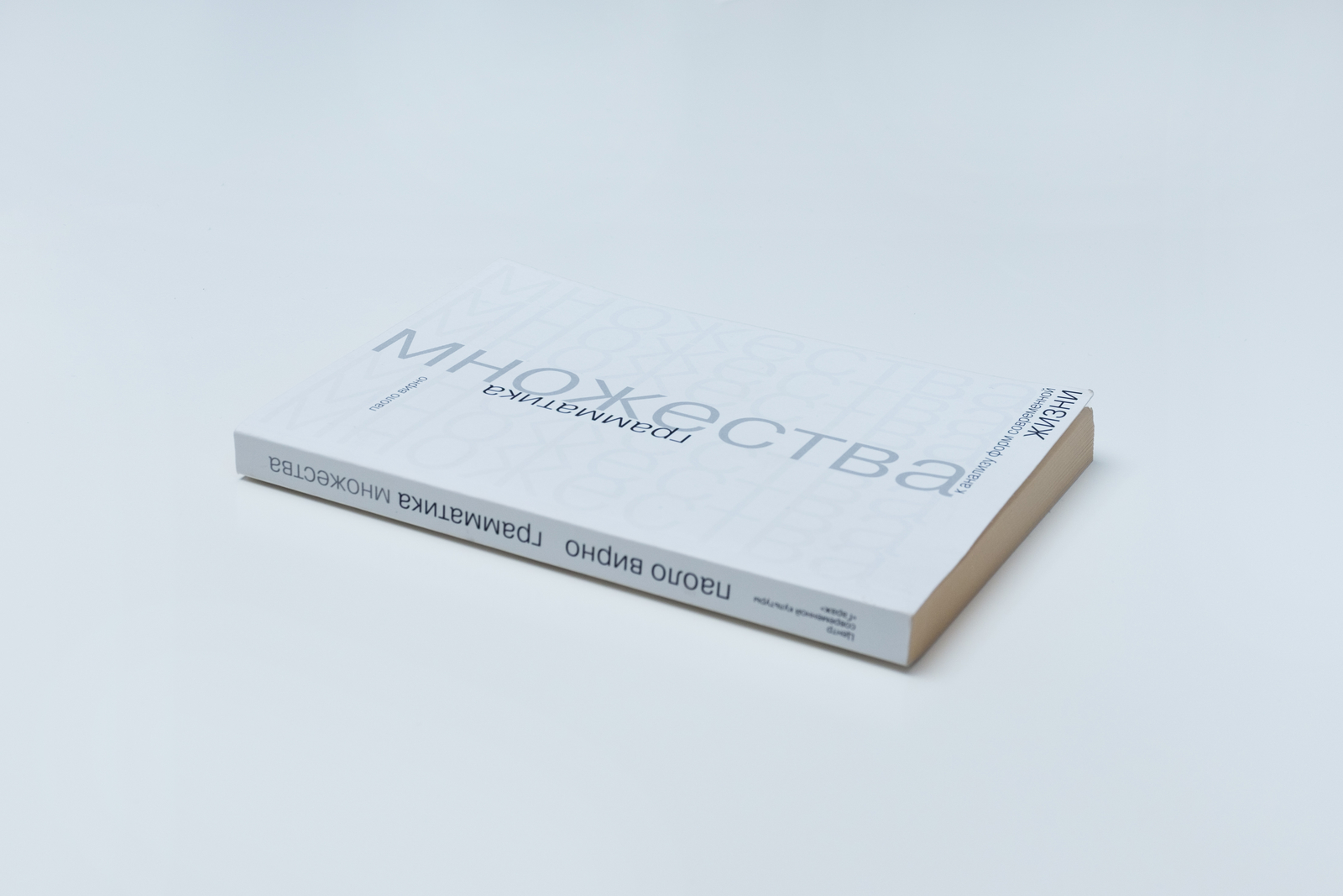 Паоло Вирно «Грамматика множества. К анализу форм современной жизни» |  Музей «Гараж»