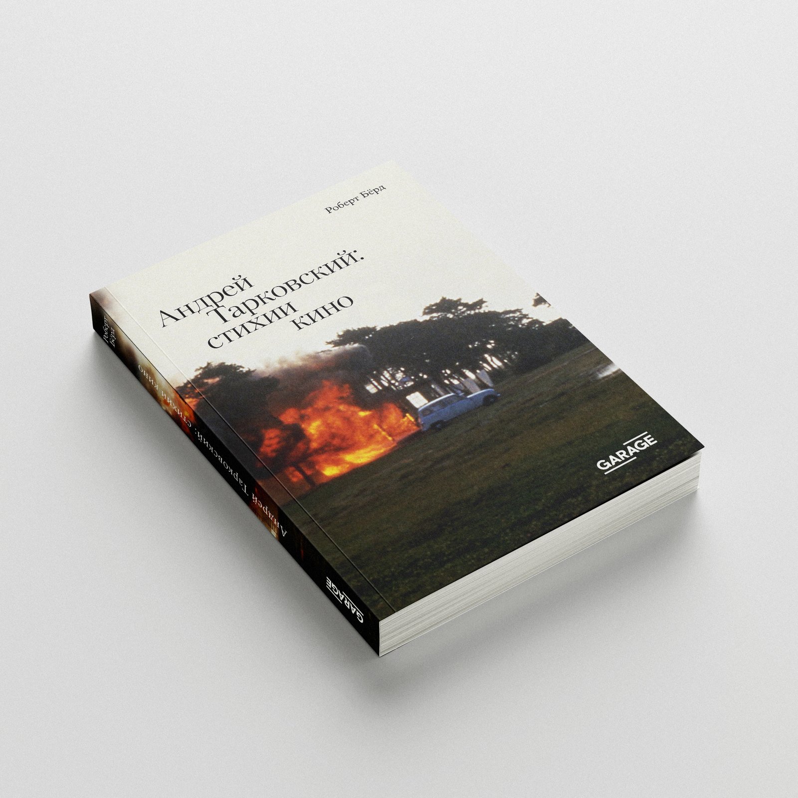 Andrei Tarkovsky: Elements of Cinema by Robert Bird