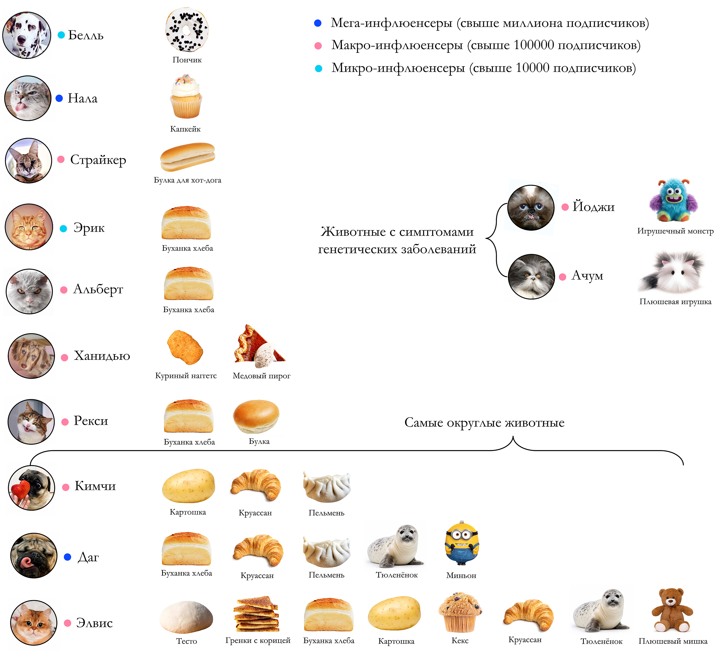 Рис. 1. (Само)объективация животных-инфлюенсеров на основе анализа 20 популярных профилей