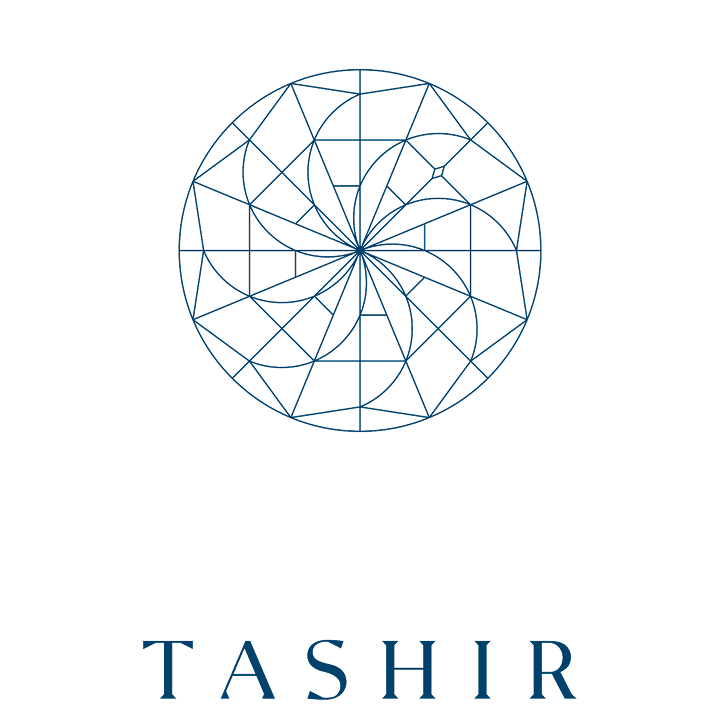 https://www.tashirfound.ru/