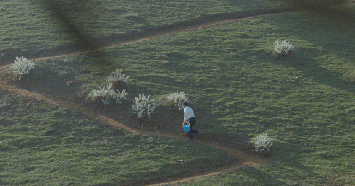 Abbas Kiarostami Retrospective. International Recognition | Garage