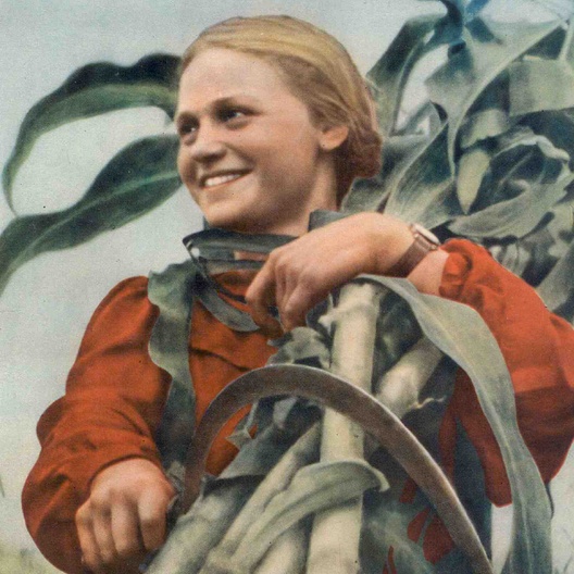 Ольга Гротова «Садоводство-Дружба»