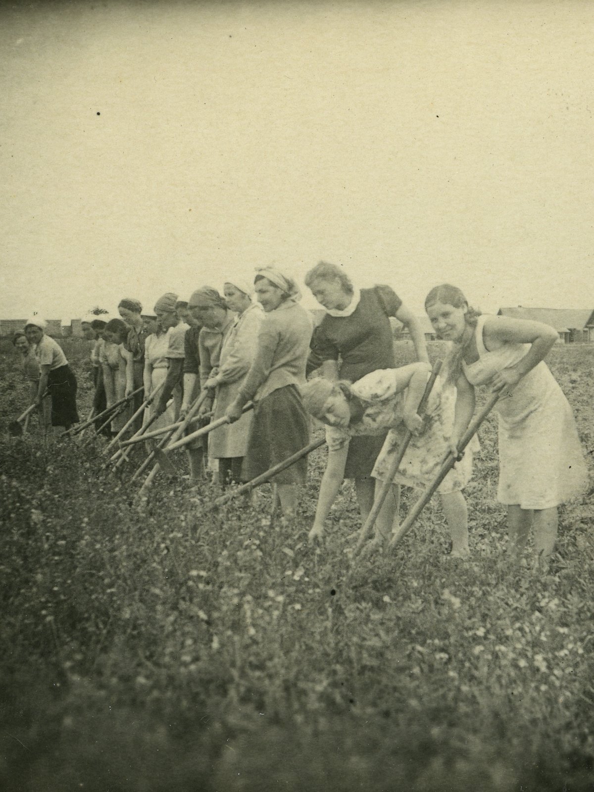 Фотография женщин с тяпками. Год неизвестен  Из найденного архива Предоставлено Ольгой Гротовой