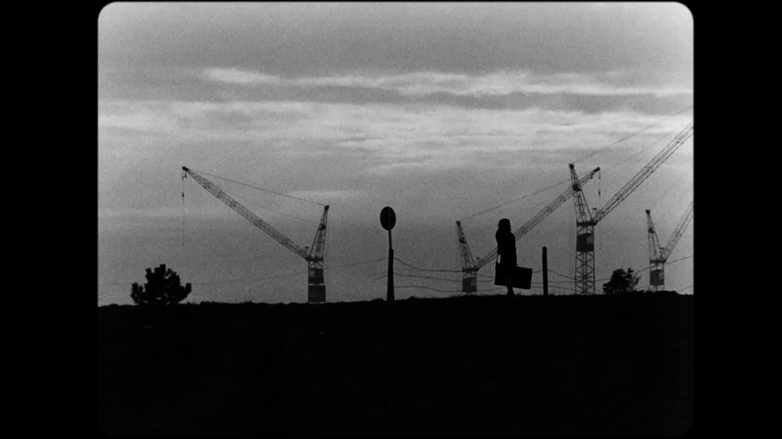 Копирайт Alexander Kluge 