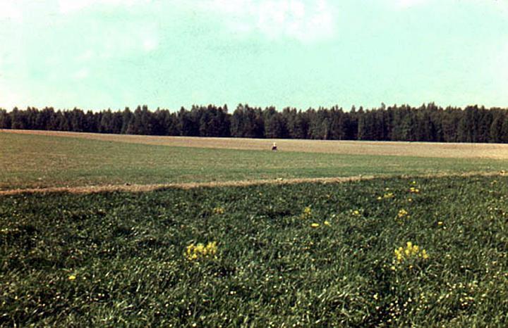 Collective Actions GroupThird Variety action, 1978