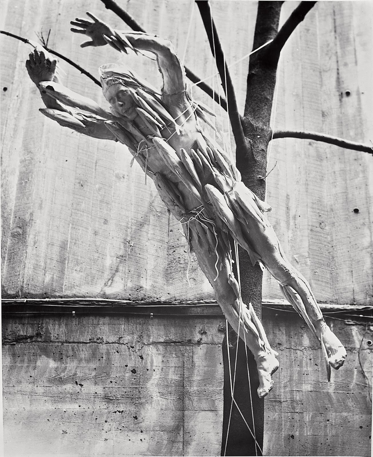 Пол Тек. Рыбак. 1969. Латекс, металлические стержни, газета, хлопковая набивка. 226,1x64,8x20,3 Музей и сад скульптур Хиршхорна