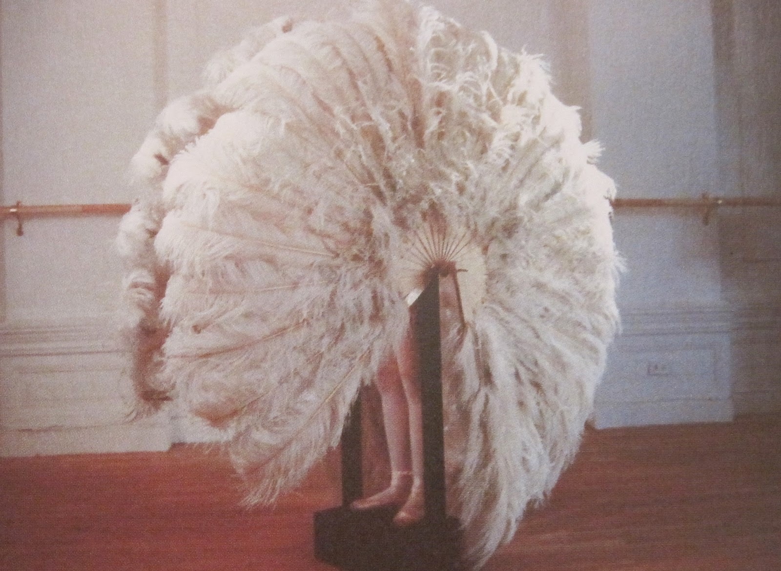 Ребекка Хорн. Пернатая тюрьма. 1978. Личная коллекция Ребекки Хорн