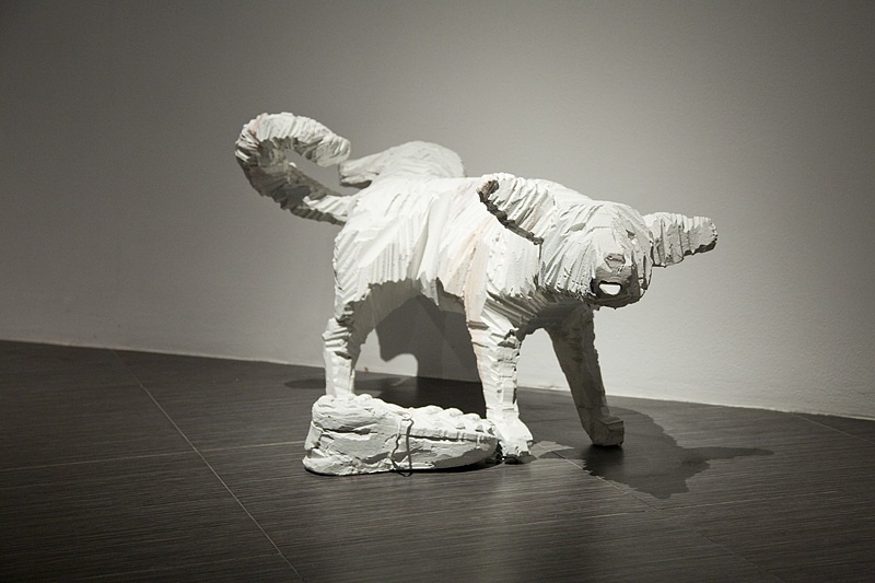 Сергей Шеховцов. Собаки. 2011