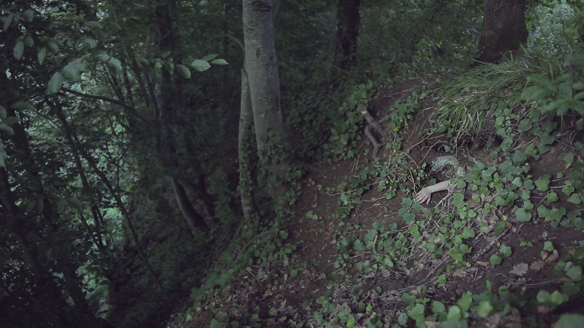 Асли Чавушоглу. Разные оценки маленькой Москвы, 2011. Courtesy автор