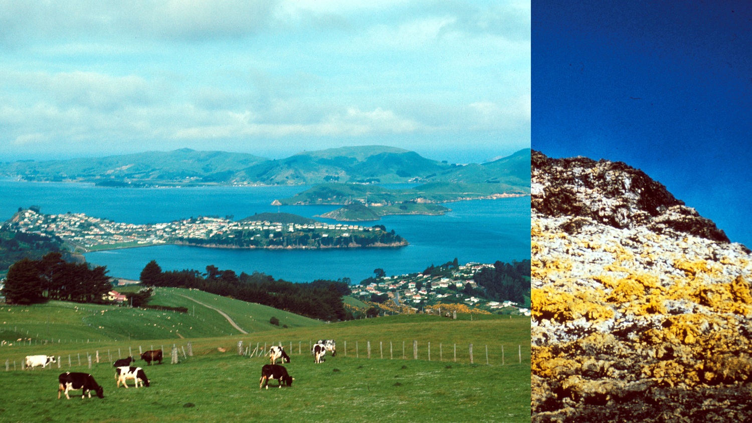 Елена Дамиани. Intersticio, 2012. Courtesy автор