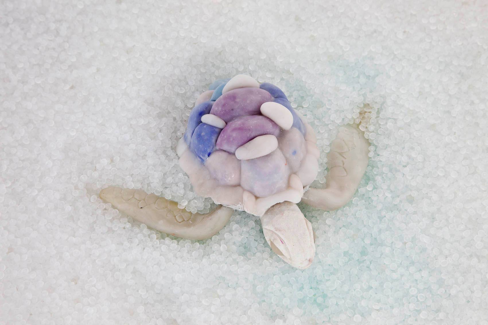 © Предоставлено Политехническим музеем