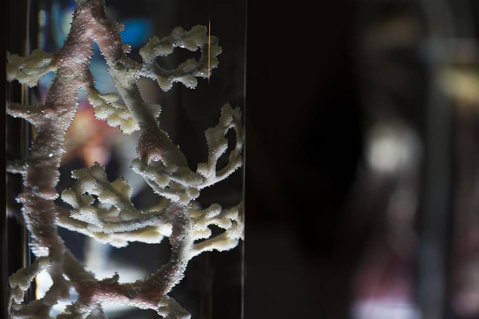 © Предоставлено Политехническим музеем