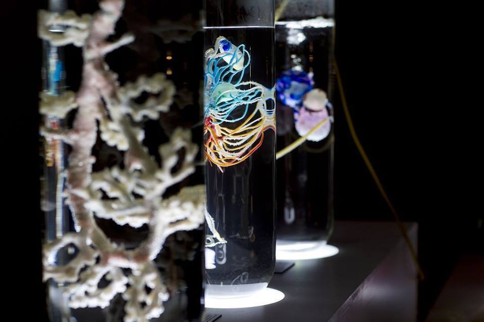 © Предоставлено Политехническим музеем