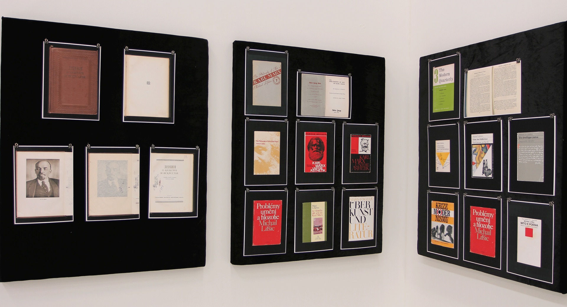 Дмитрий Гутов Институт Лифшица 2012 28 стендов, 100 х 80 см 9-ая Шанхайская биеннале. Шанхай, Китай ГЛАВНЫЙ КУРАТОР: ЦЮ ЧЖИЦЗЕ КУРАТОР: БОРИС ГРОЙС