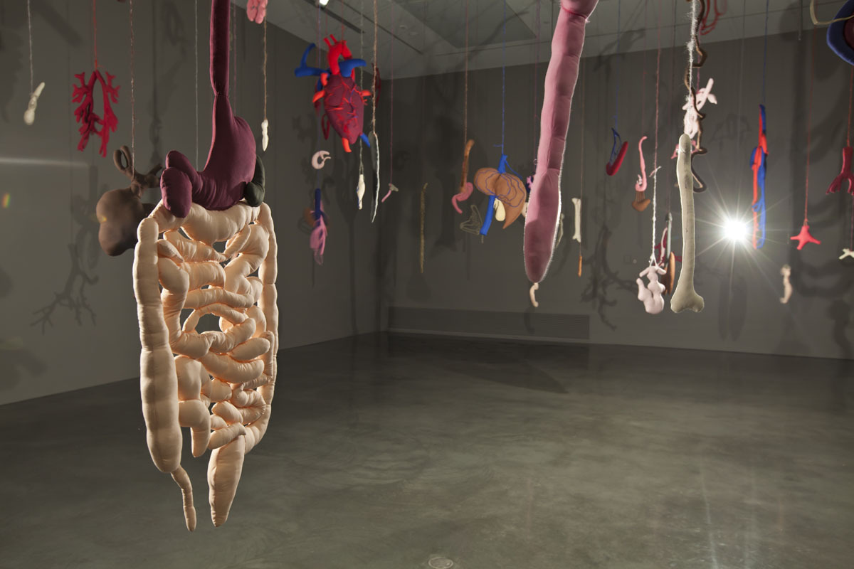 Аннет Мессаже  Проникновение. 1993–94  Инсталляция  Национальная галерея Австралии, Канберра