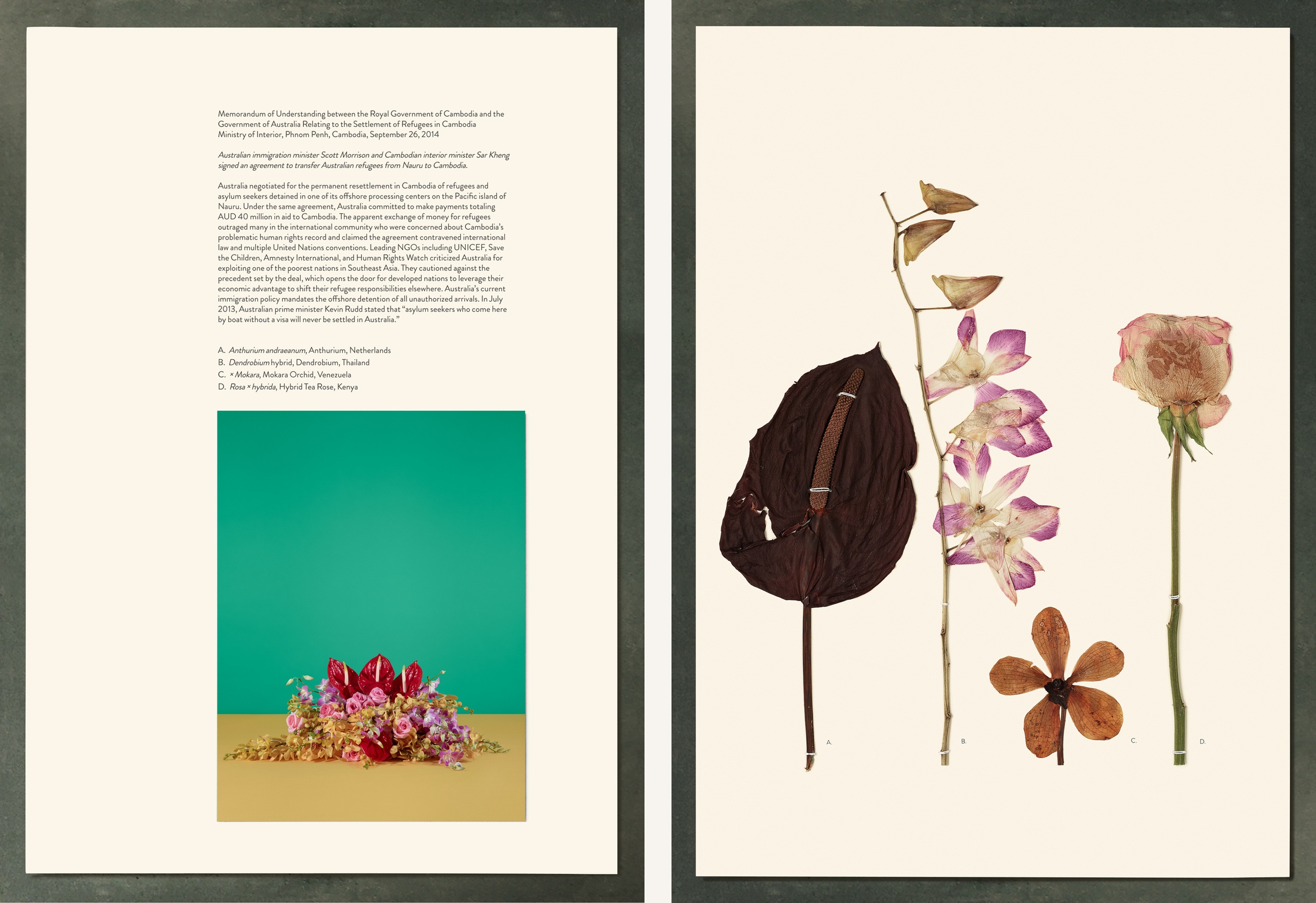 Вид с высоты птичьего полета.Меморандум о взаимопонимании между Правительством Королевства Камбоджа и Правительством Австралии в связи с колонией беженцев в Камбодже. Министерство внутренних дел, Пномпень, Камбоджа. 26 сентября 2014.Гладиолус крупноцветковый, Португалия; спаржа щетинковидная, США; гвоздика садовая, Колумбия; нарцисс ложный, Нидерланды.Из серии &laquo;Бумажная работа и воля к капиталу&raquo;. 2015Бумага для гербария, тонированный бетон, высушенные растения, струйная печать, текст, стальной каркас109,2 &times; 72,4 &times; 52,1 см&copy; Taryn Simon. Courtesy Gagosian Gallery