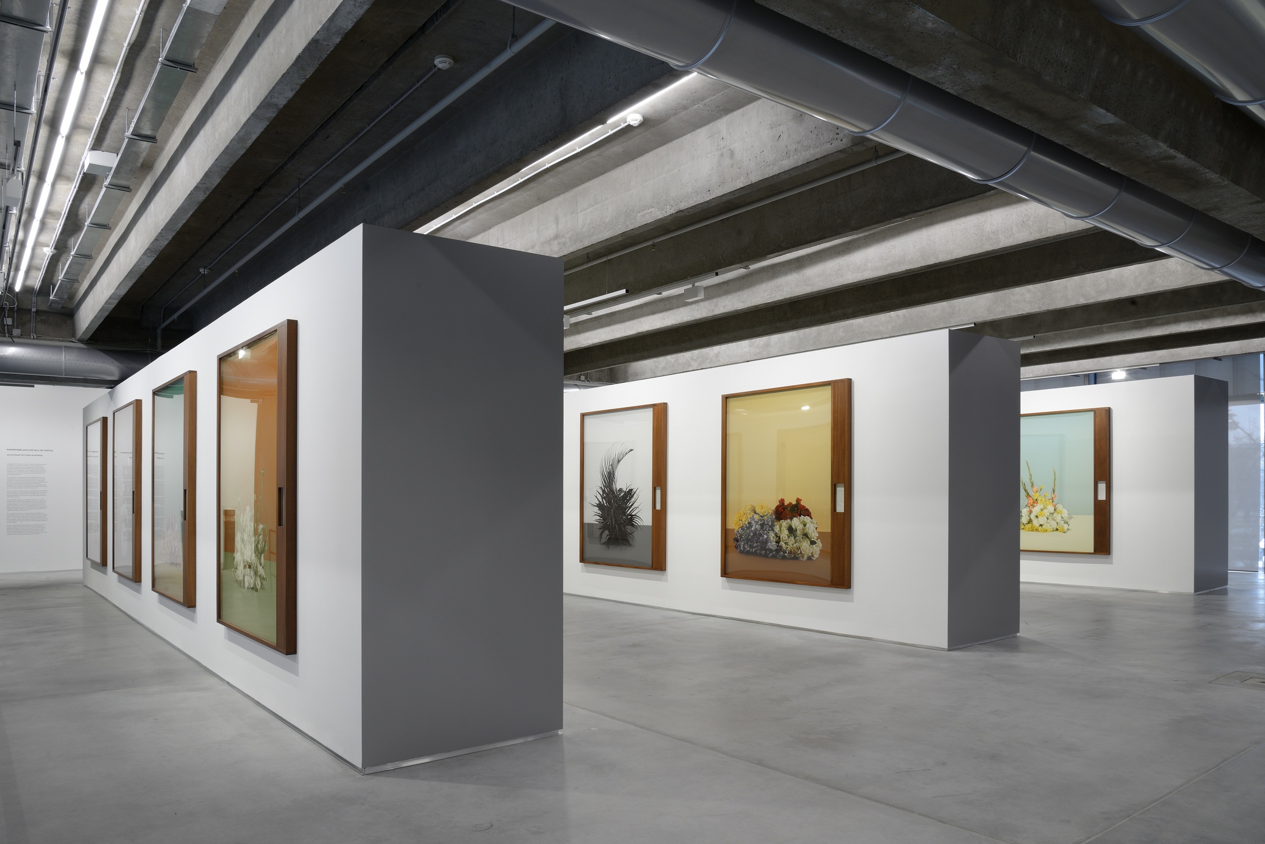 Тарин Саймон &laquo;Исследование в действии / сценография власти&raquo;, Музей современного искусства &laquo;Гараж&raquo;, 2016&copy; Музей современного искусства &laquo;Гараж&raquo;