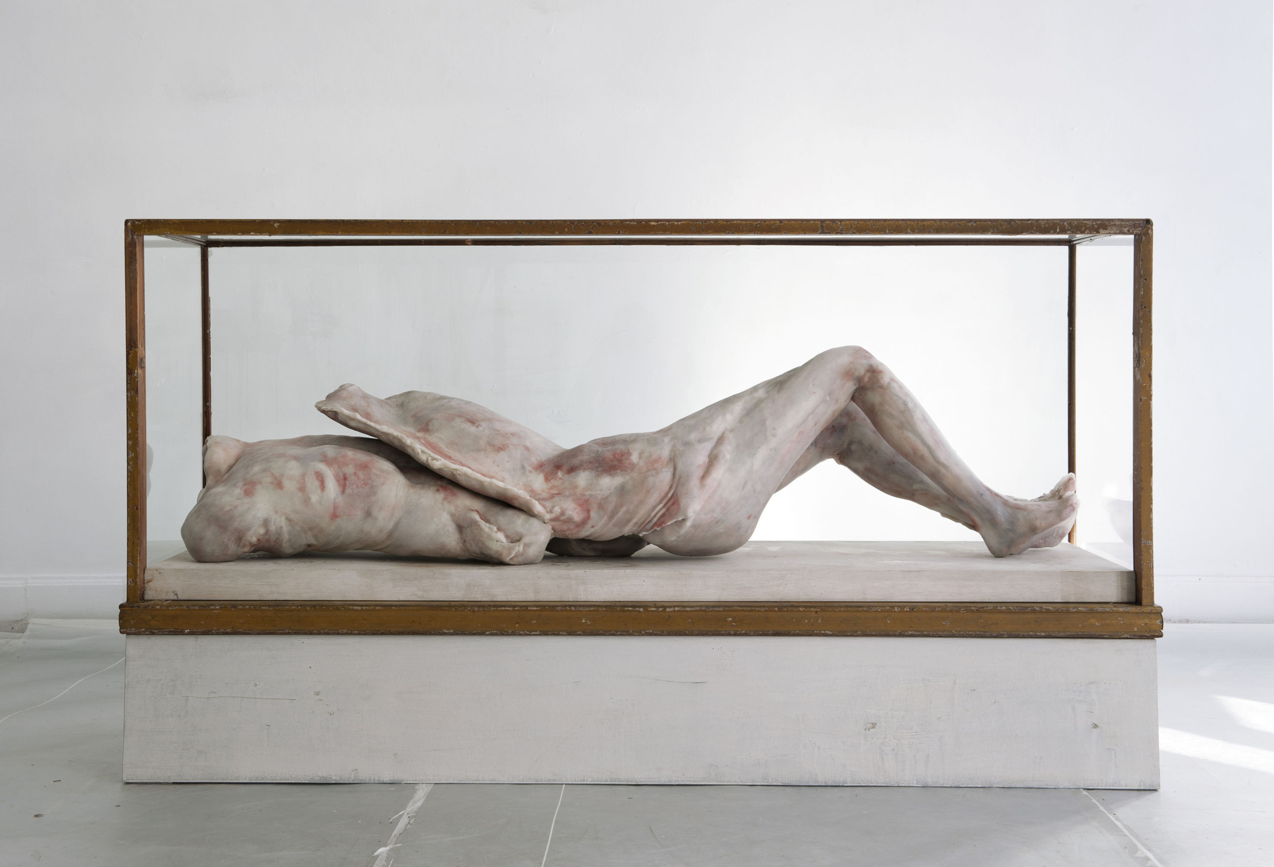 Берлинде де Брёйкере. Into One-Another V to P.P.P. 2011