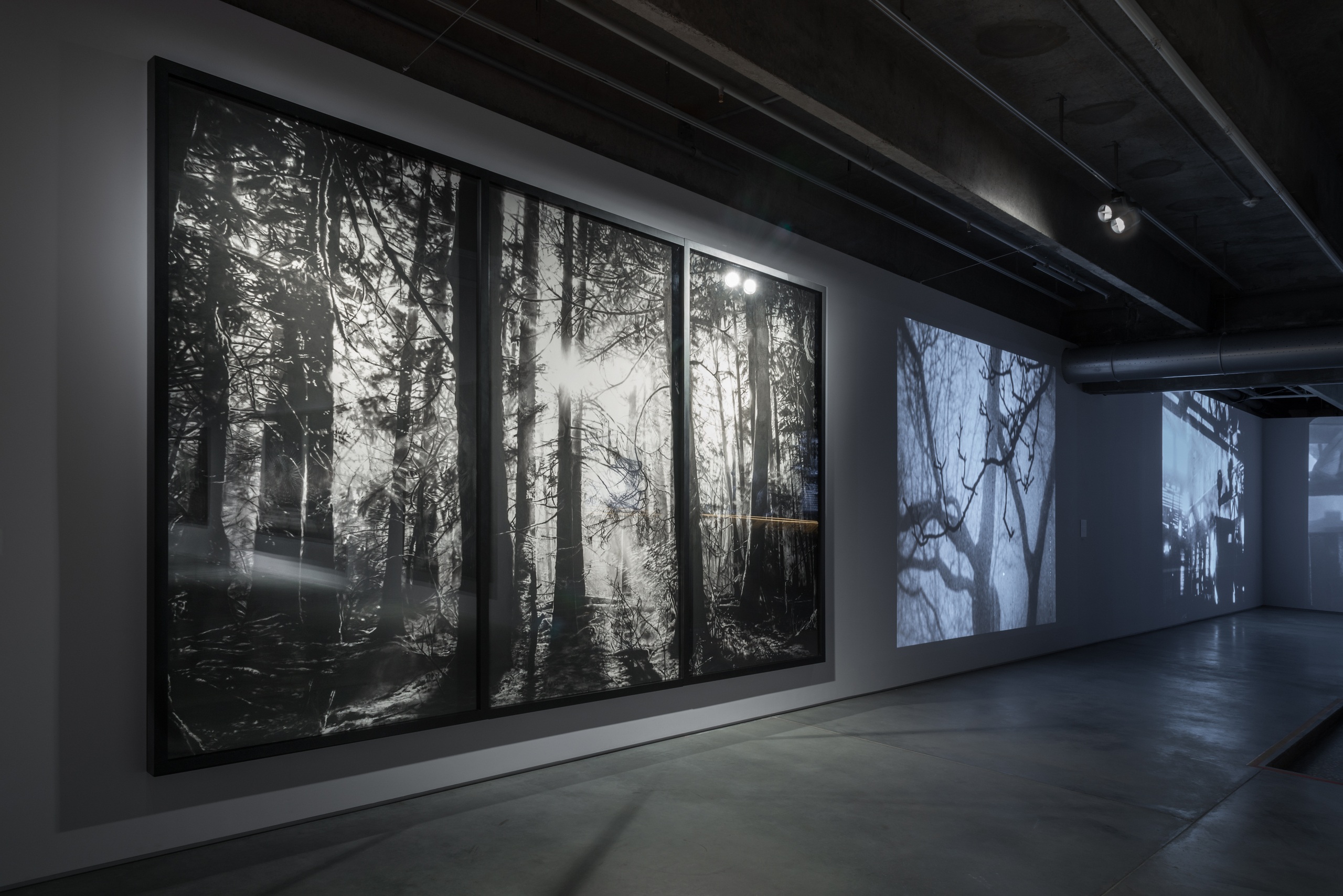 Фото: Алексей Народницкий