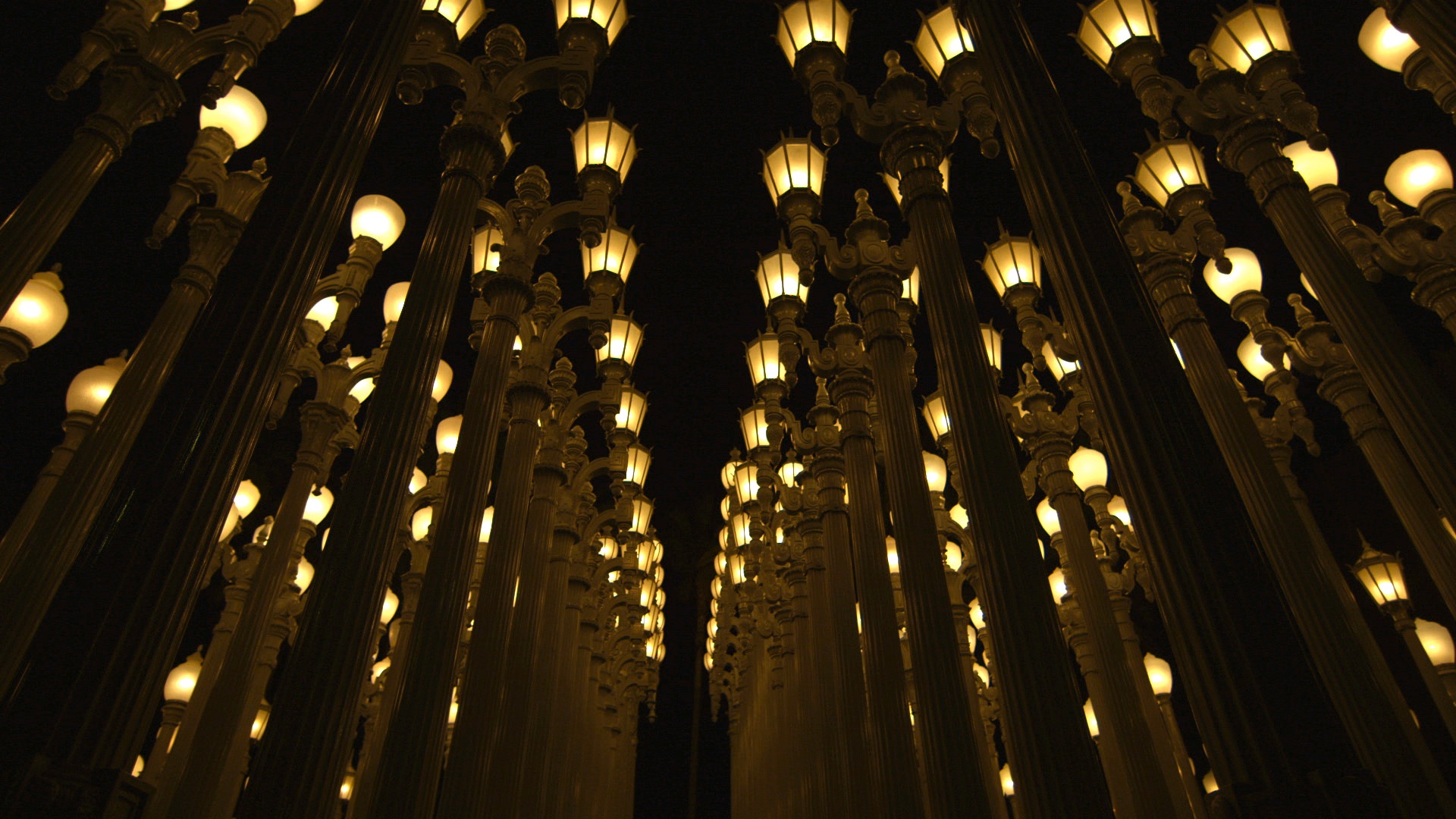 Берден&nbsp;&copy;&nbsp;Dogwoof Pictures