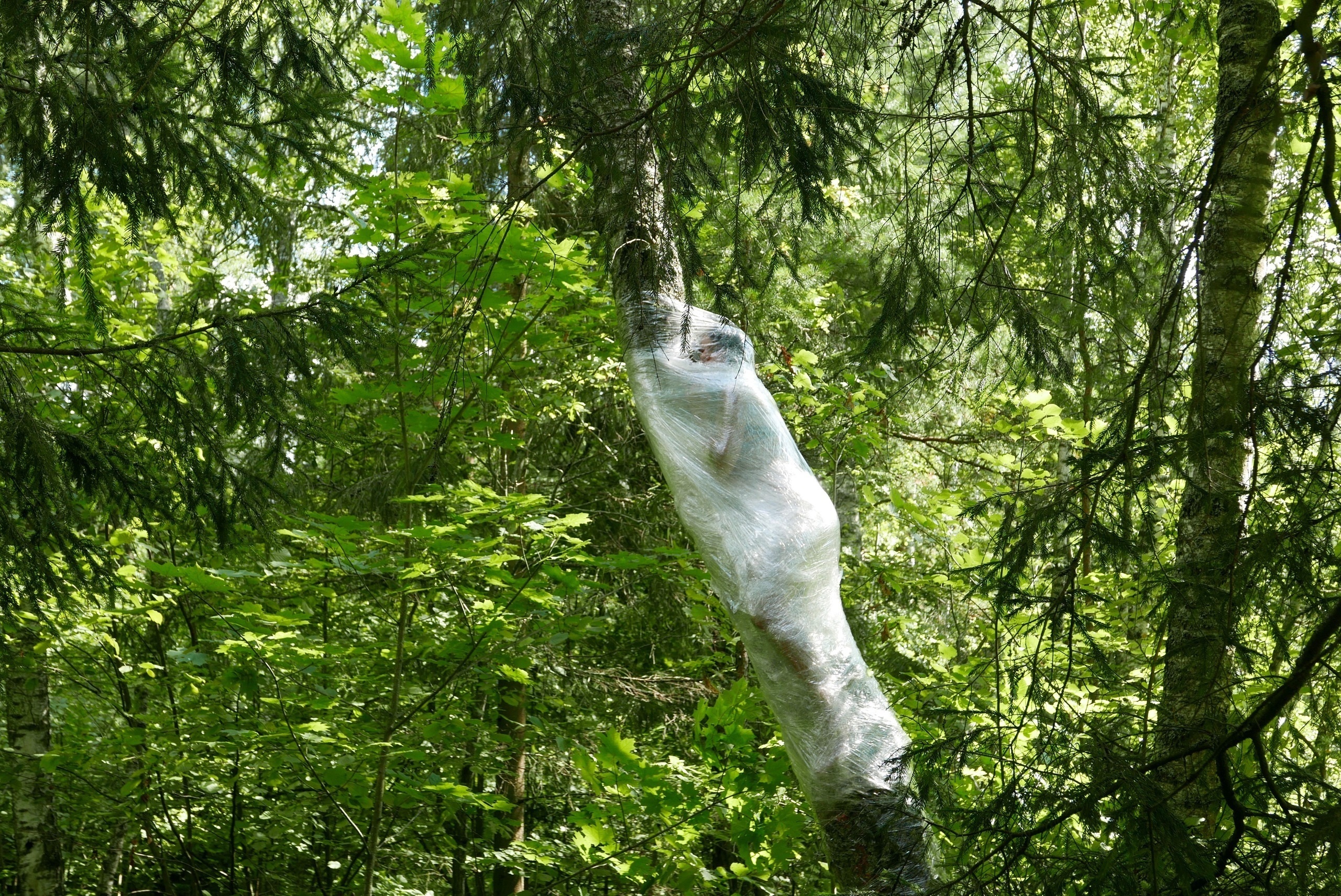 Ольга Кройтор. Кокон. 2016. Перформанс. Courtesy Ольга Кройтор