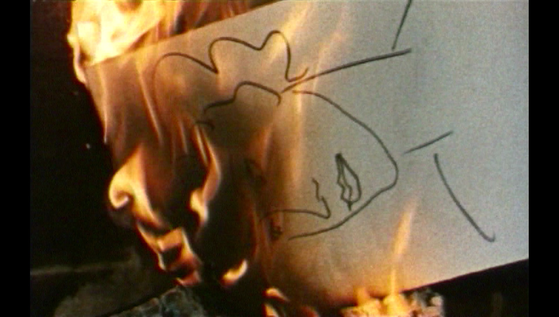 © Documentaire sur Grand Ecran