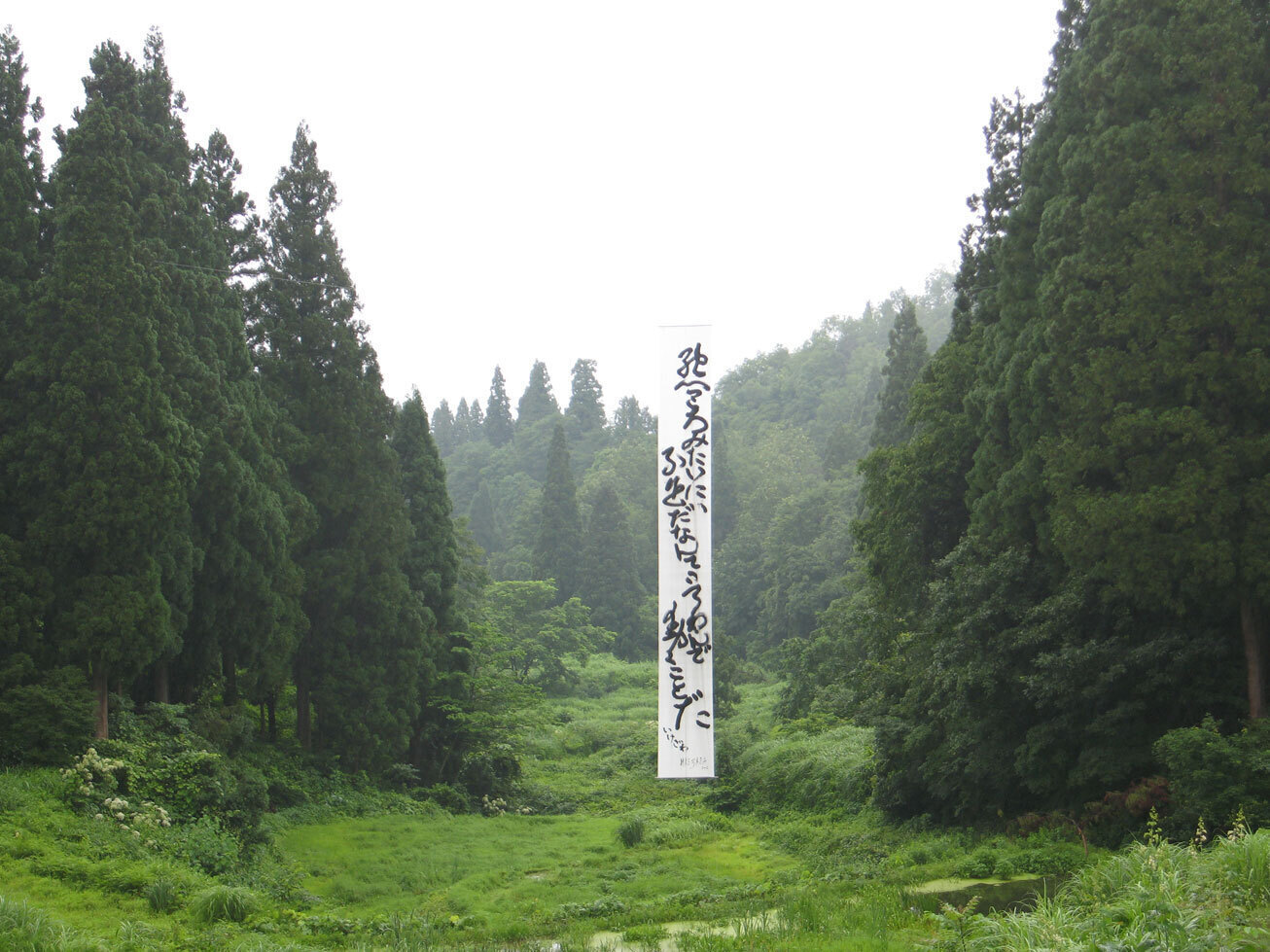 Дмитрий Гутов. Свиток. 2006. Ткань, тушь