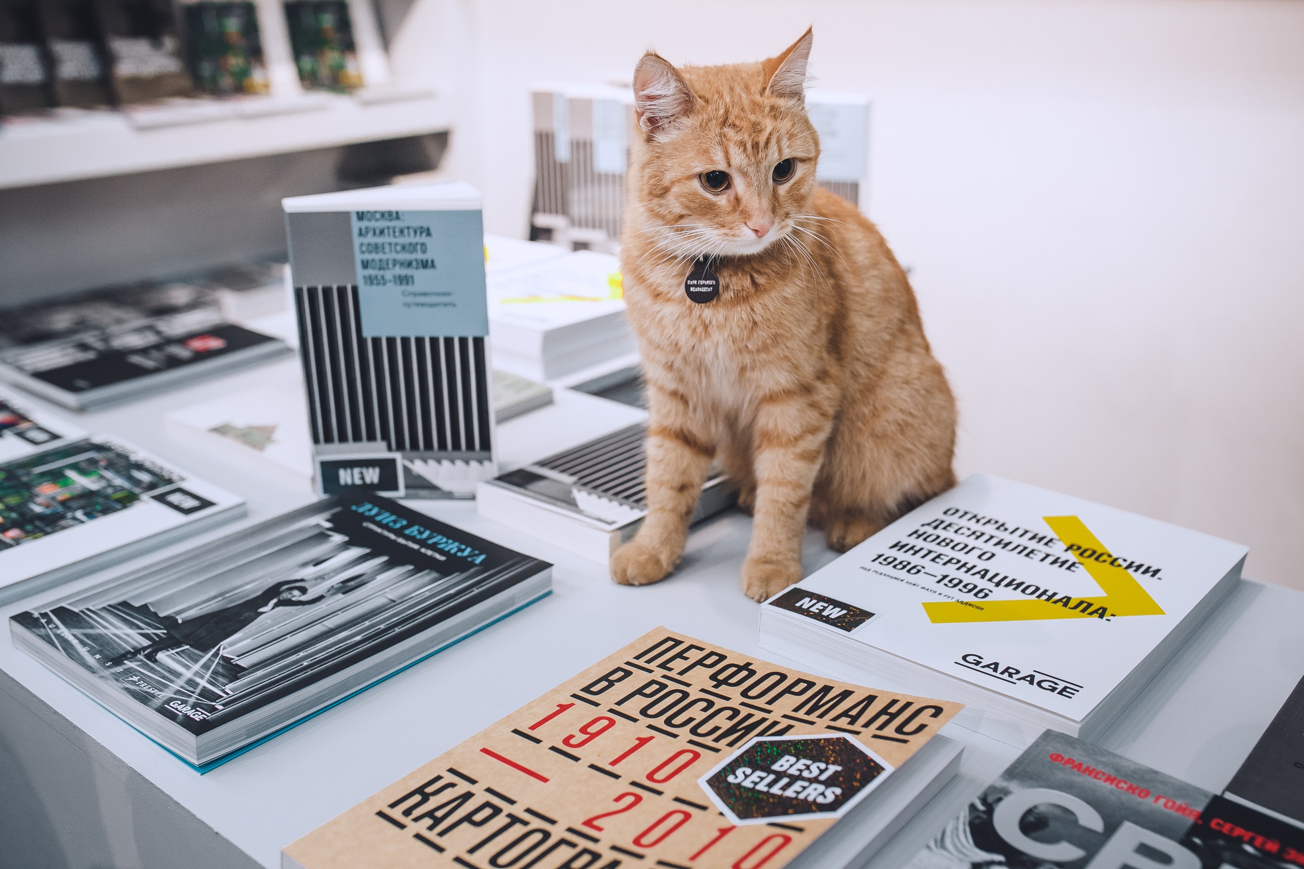 Первая ярмарка книг об искусстве Garage Art Book Fair, Музей современного искусства «Гараж», 2016Фото: Антон Доников© Музей современного искусства «Гараж»