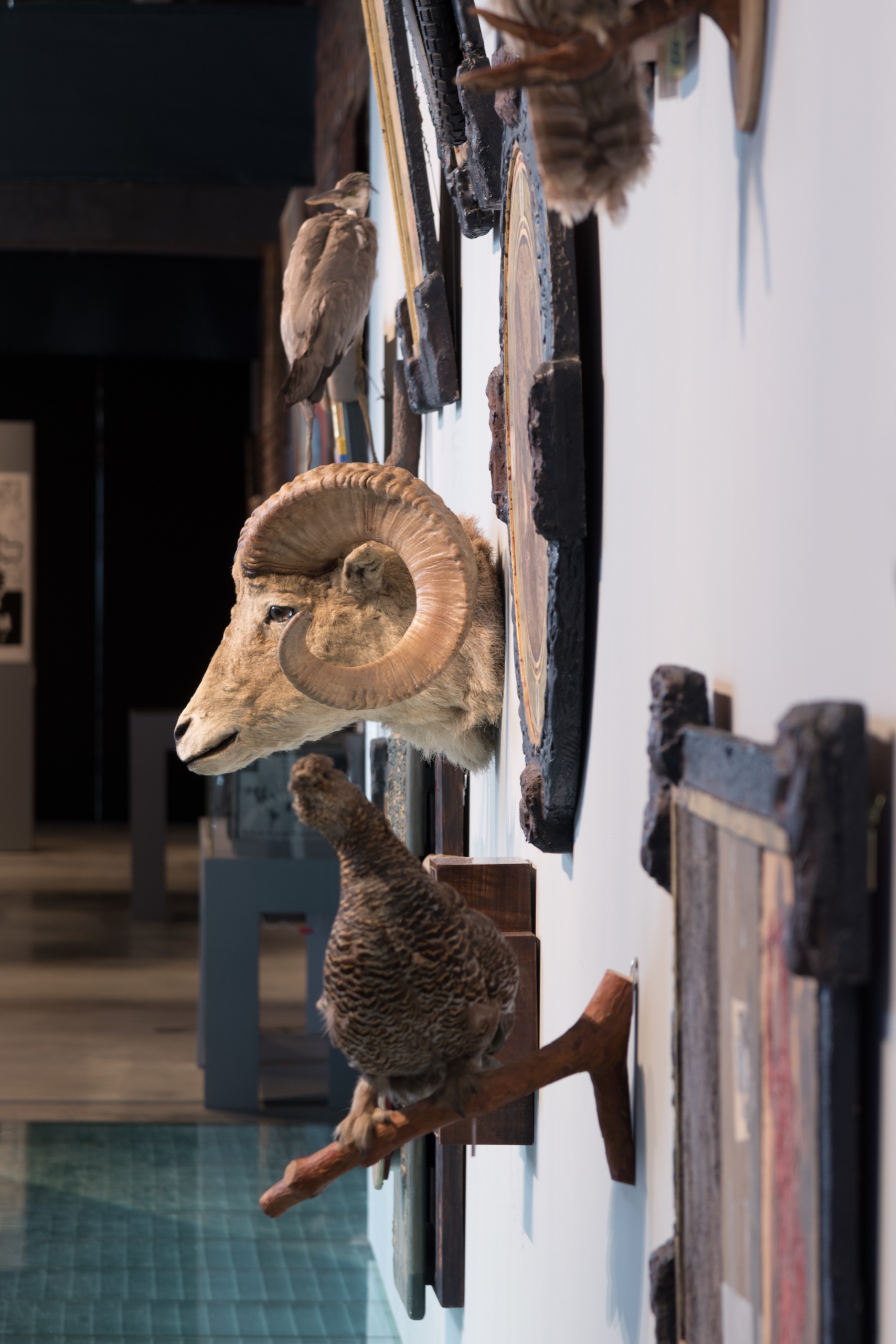 Photo: Alexey Narodnitsky