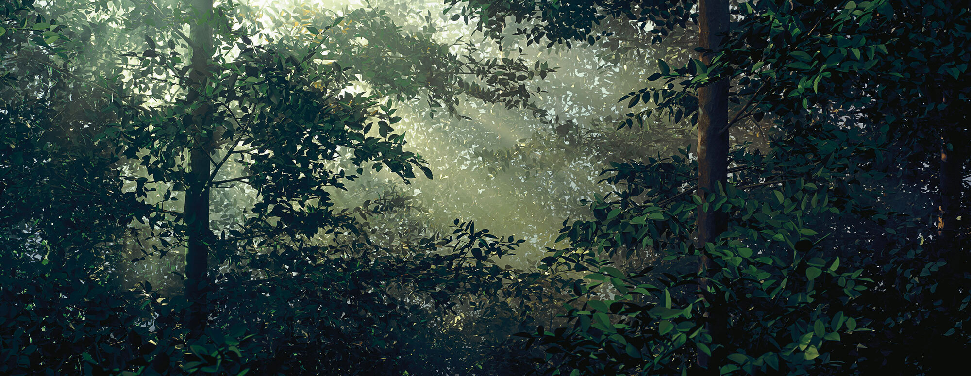 Томас Деманд. Очищение. Плексиглас, печать. 2003. 192 × 495 см. Courtesy художник