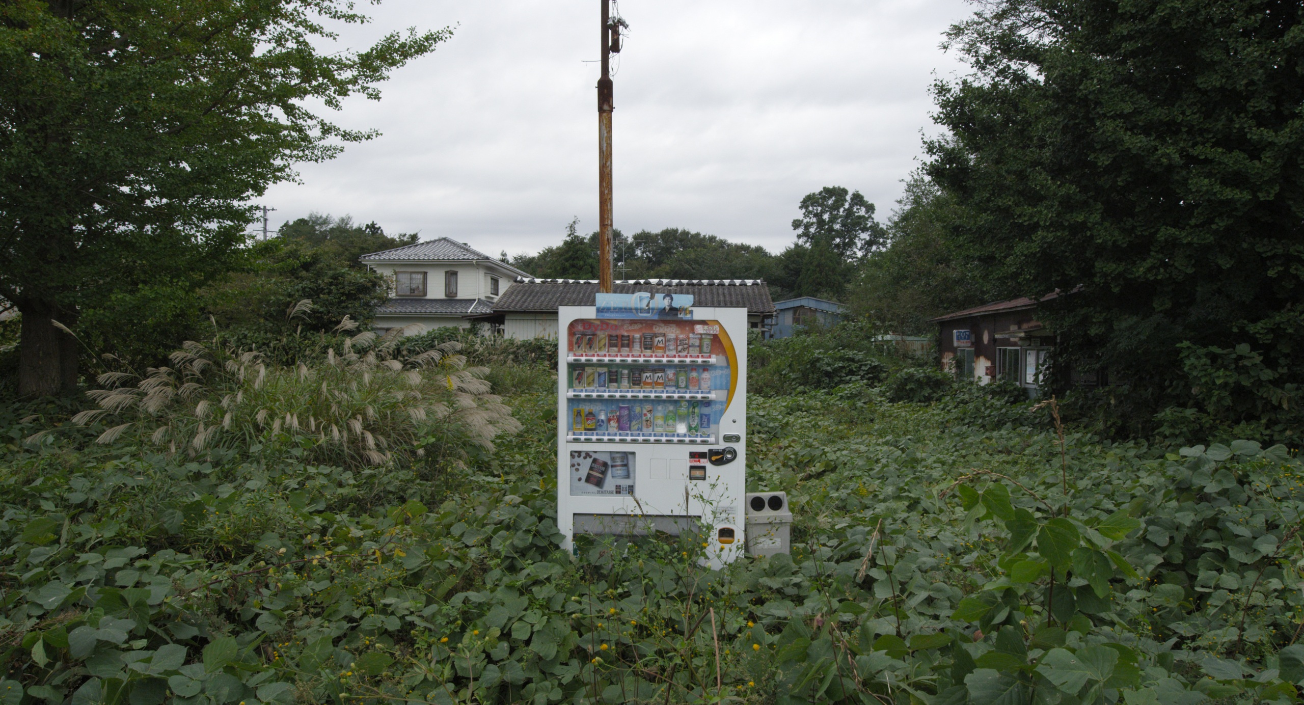 &laquo;Homo Sapiens&raquo;Режиссер Николаус ГейрхальтерШвейцария, Австрия, Германия, 2016. 94 минуты.&copy; Autlook Films