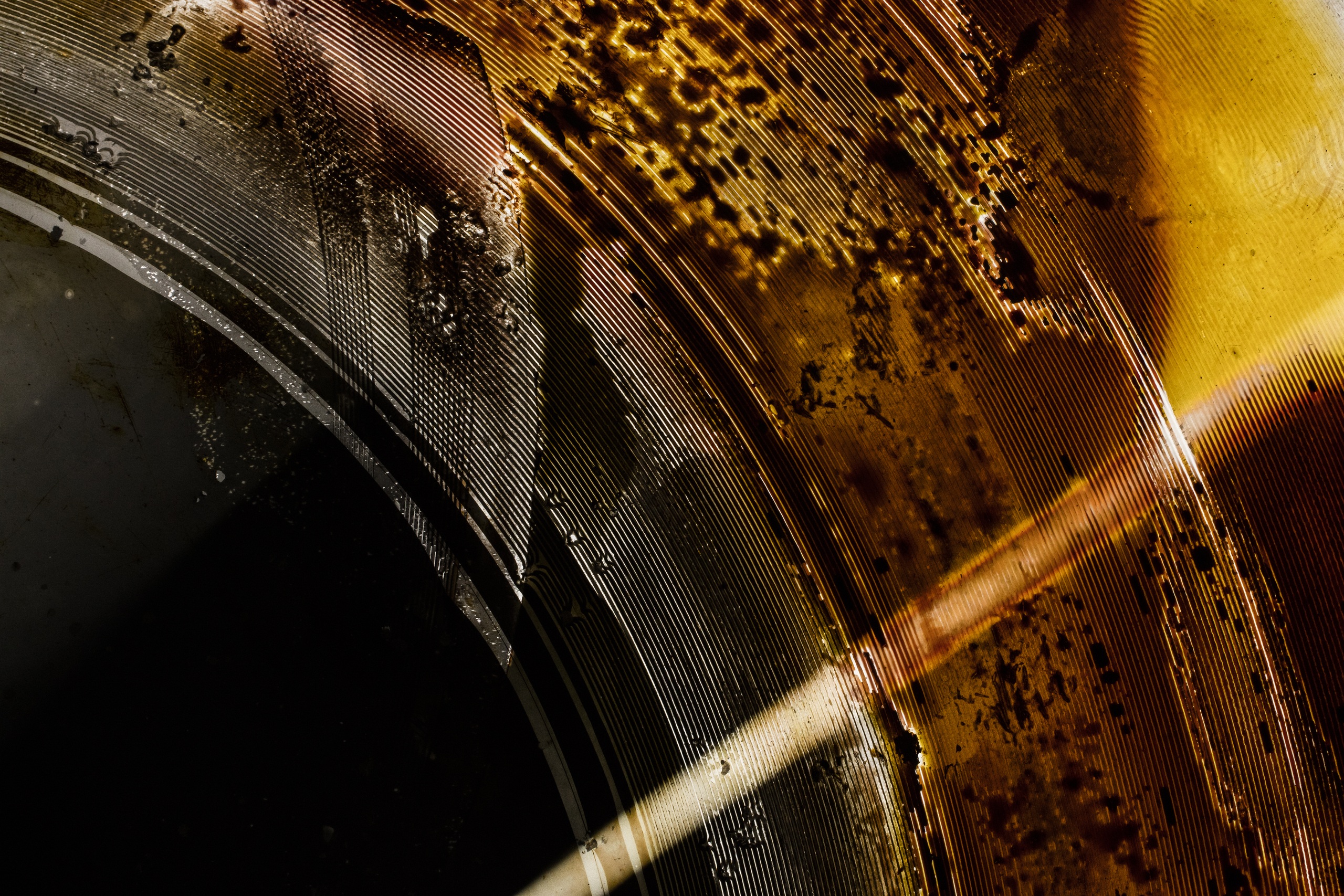 Bone record, detail of decay, 2017C-type print 50 x 74 cmСourtesy X-Ray Audio, London