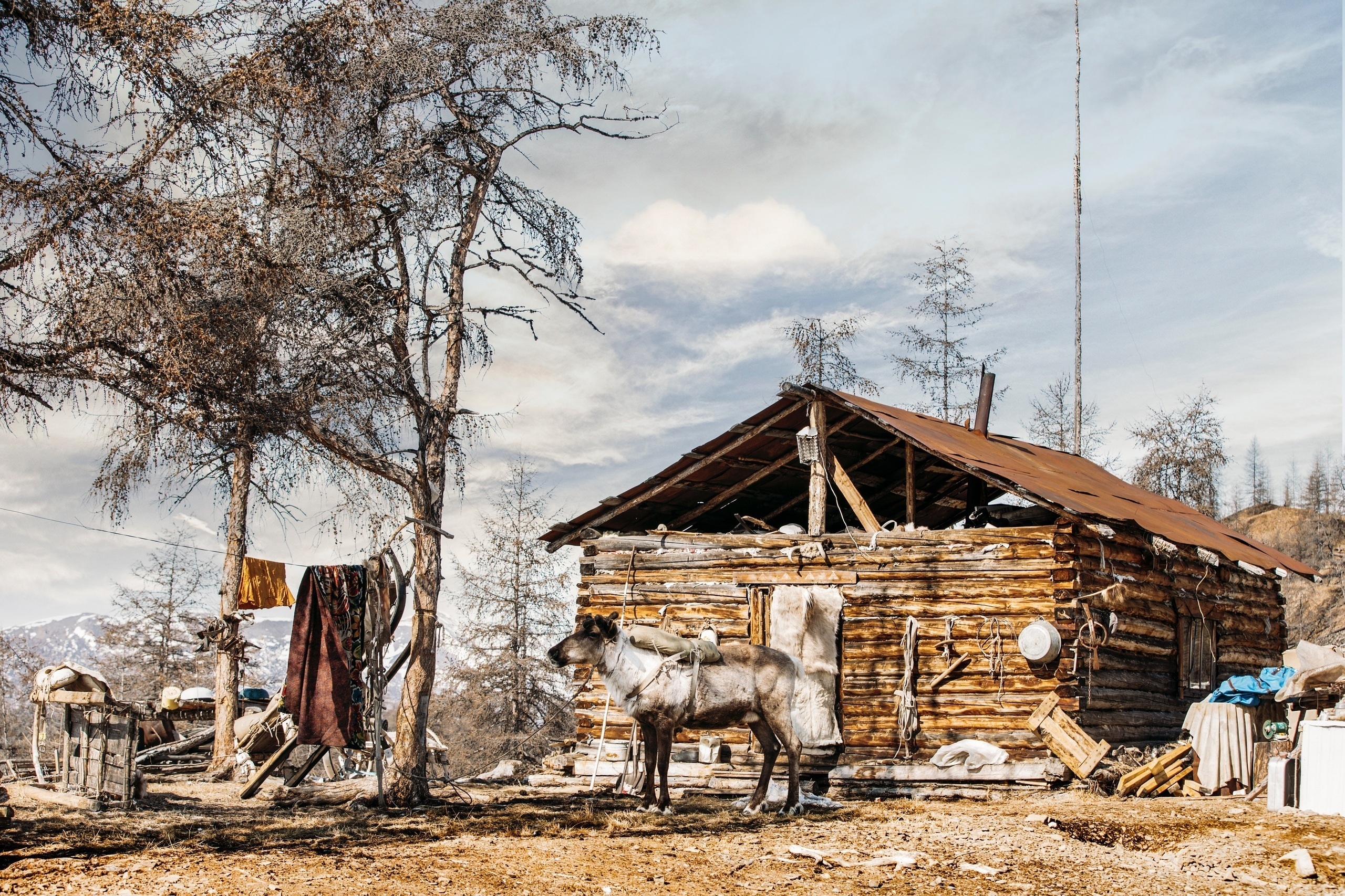&laquo;24 снега&raquo;Режиссер Михаил Барынин. Россия, 2015. 93 мин.
