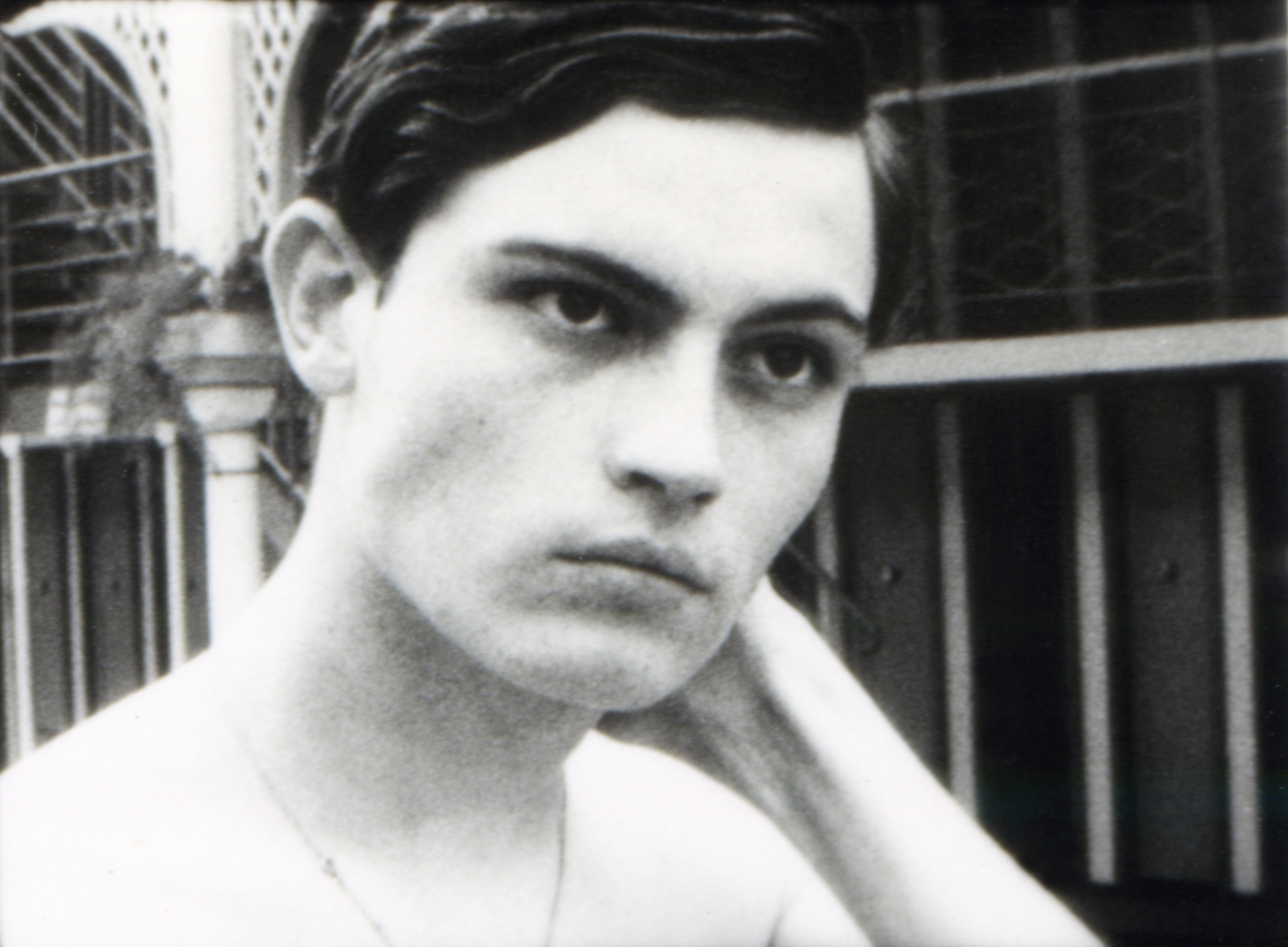 &copy; Les Films du Losange