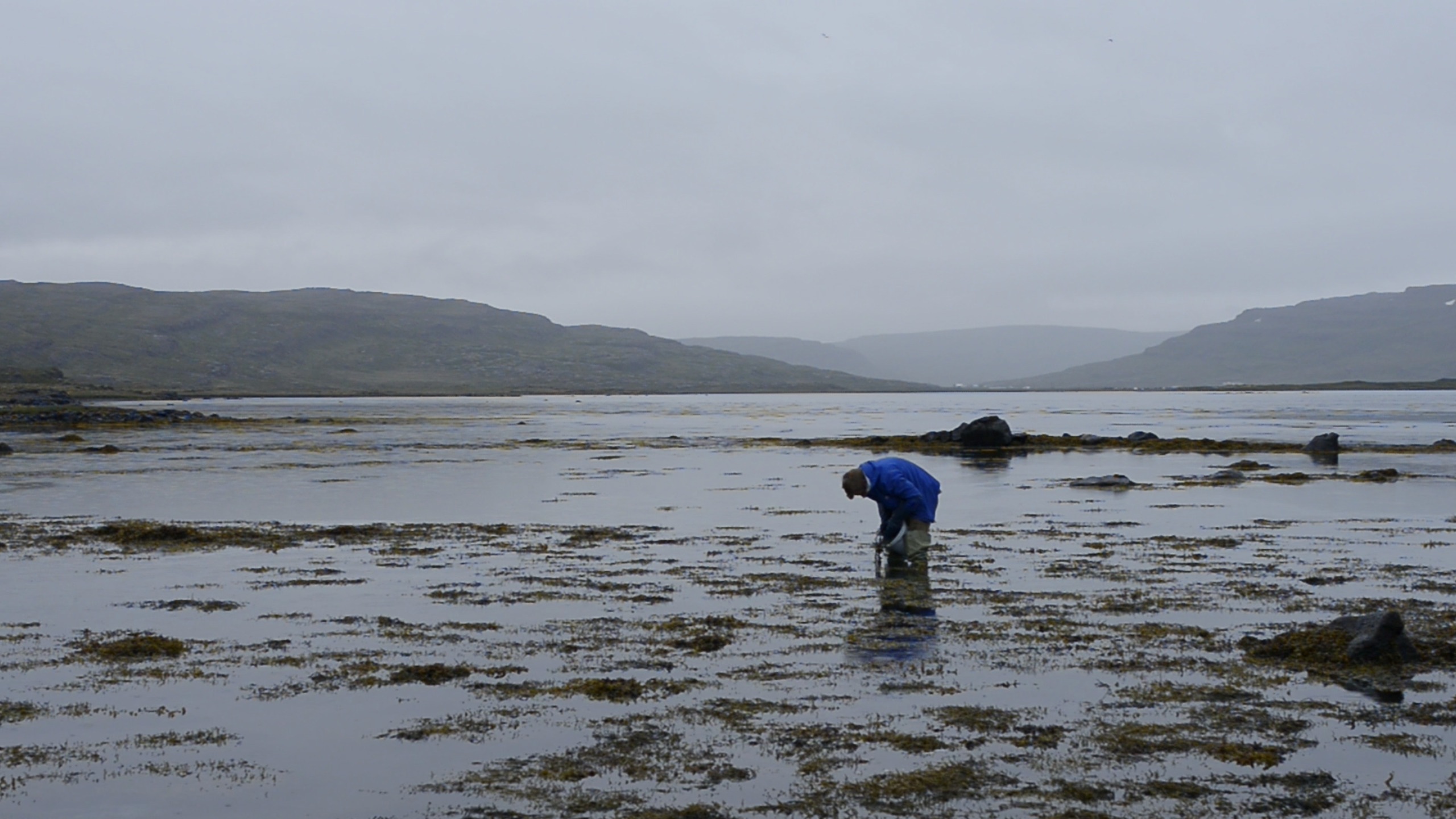 Кадр из фильма AestetikРежиссер Макси Шилов. Исландия, Швеция, Дания, Россия, 2016. 45 мин.12+