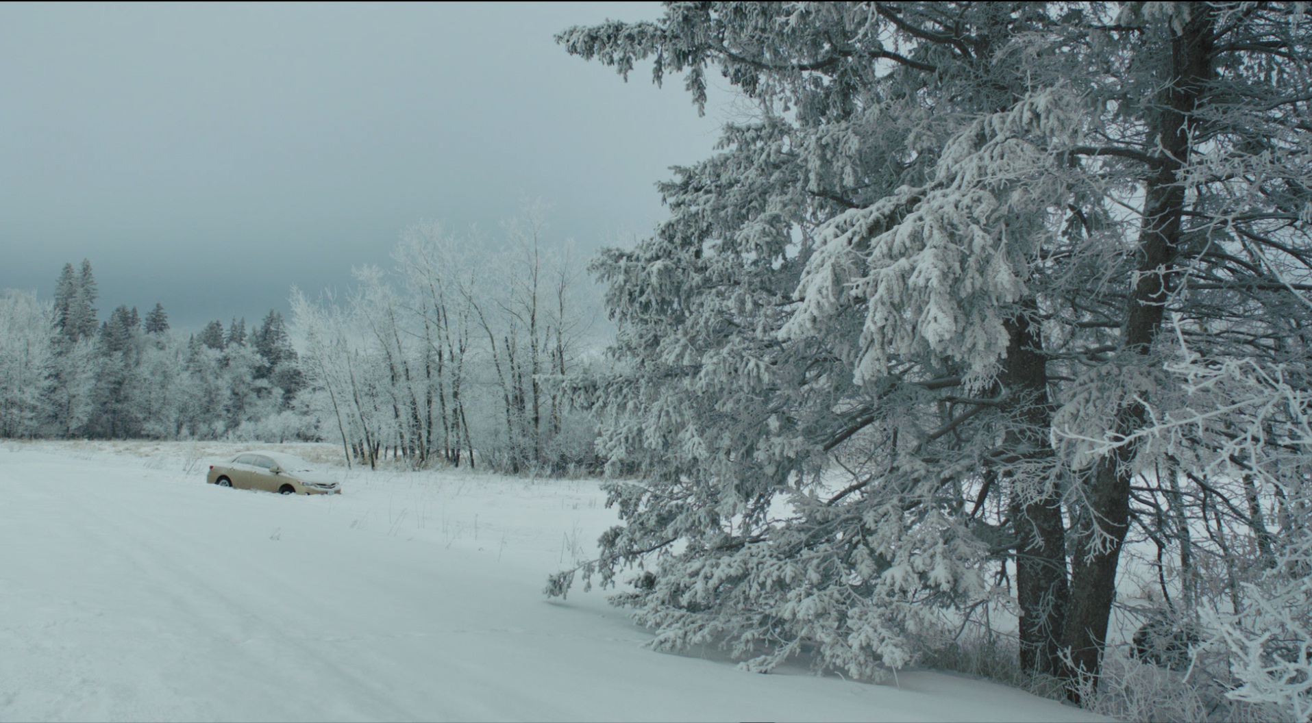 &laquo;Сусана, ты меня убиваешь&raquo;Режиссер Роберто Снейдер. Мексика, Канада, 2016. 100 ми