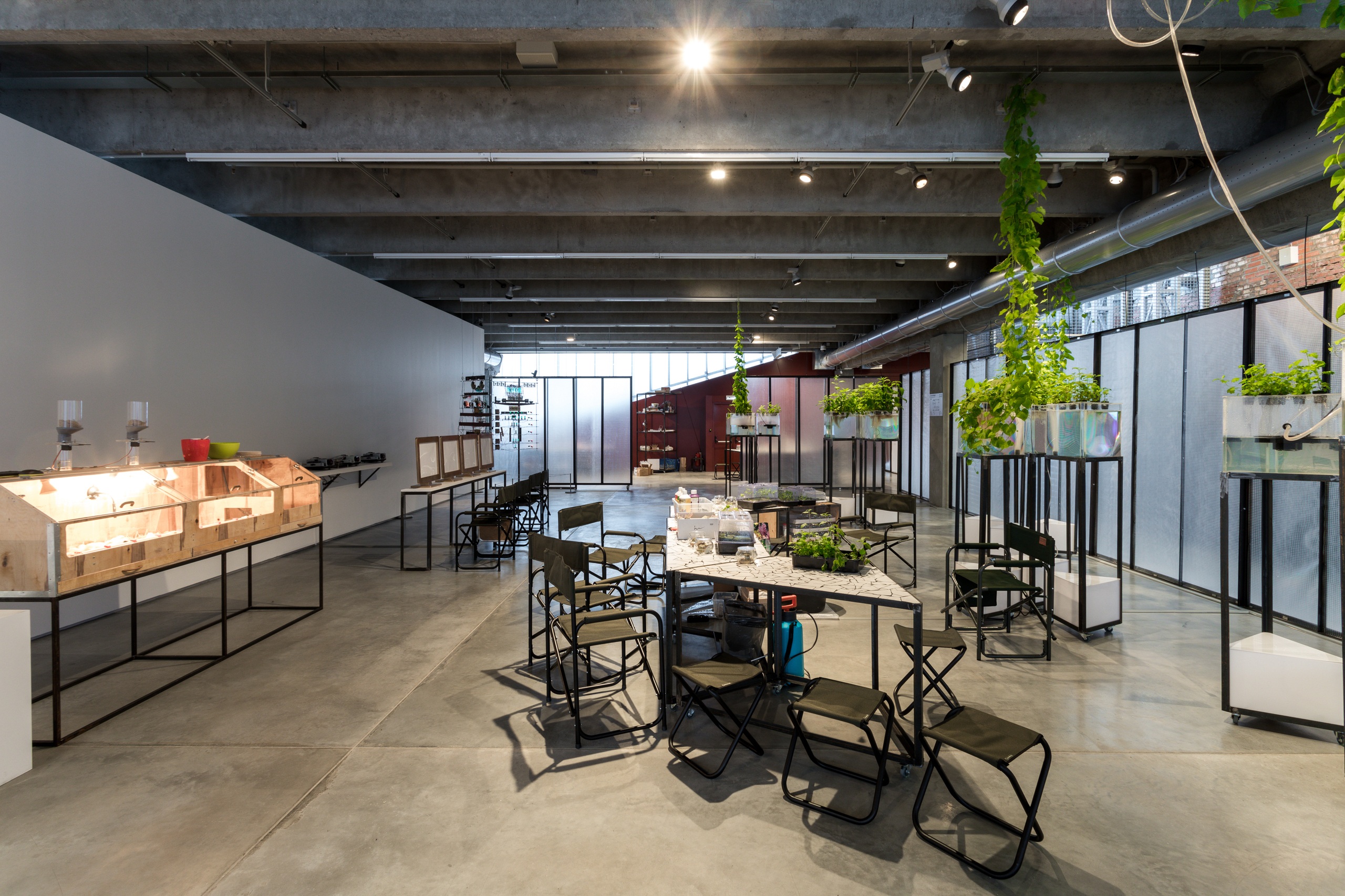 Art&nbsp;Experiment.&nbsp;Laboratories of Earthly Survival&nbsp;interactive project, Moscow, 2017Photo: Ivan ErofeevGarage Museum of Contemporary Art