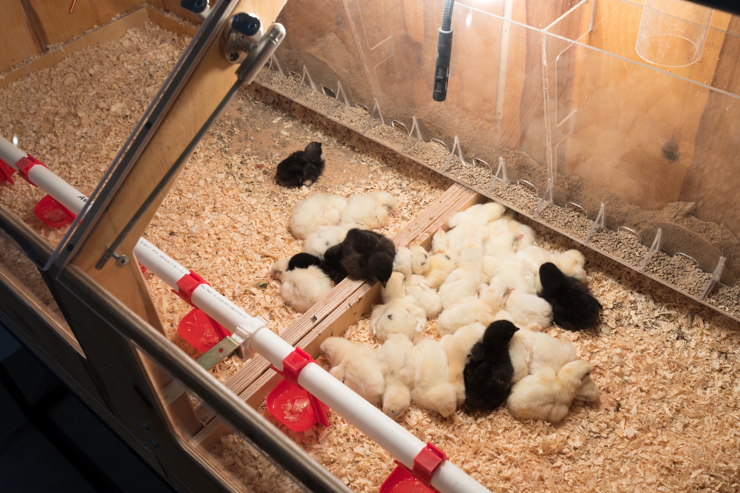 Art&nbsp;Experiment.&nbsp;Laboratories of Earthly Survival&nbsp;interactive project, Moscow, 2017Photo: Ivan ErofeevGarage Museum of Contemporary Art