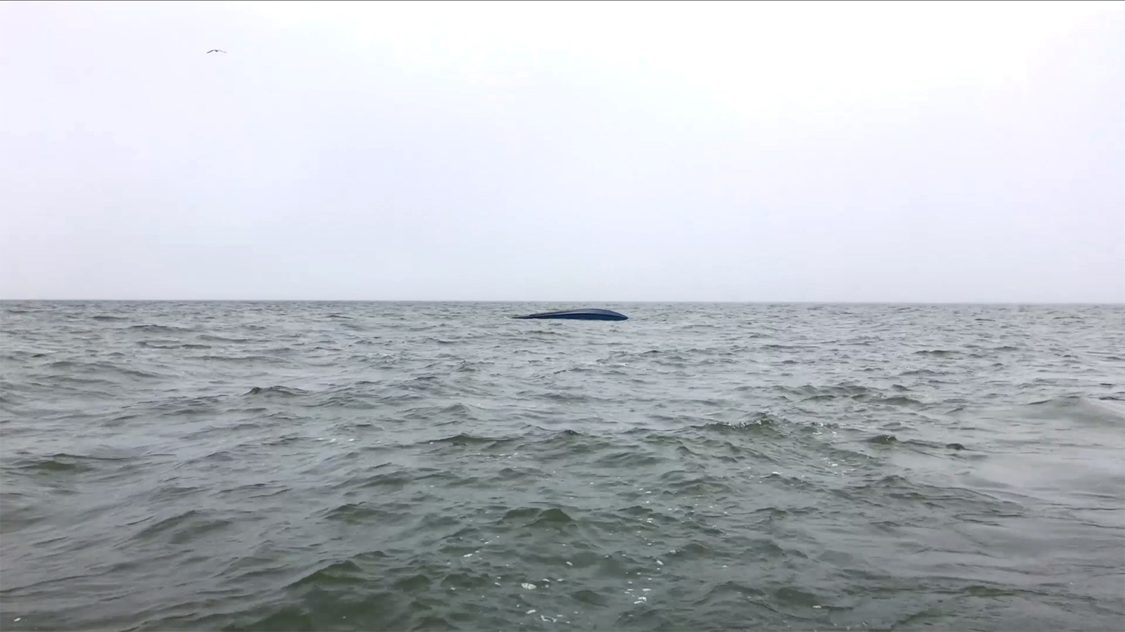 Байда, видеодокументация перформанса, цвет, звук, Венеция, 2017&nbsp;Работа создана при поддержке Газпромбанка и компании Арт-Финанс, Москва