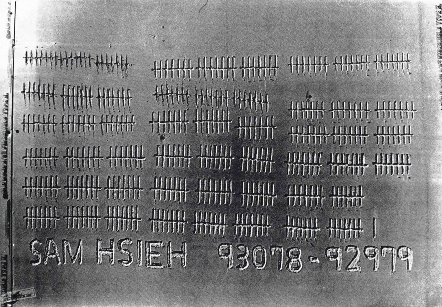 Тэчинг Сэм Хсиех. Одногодичный перформанс.