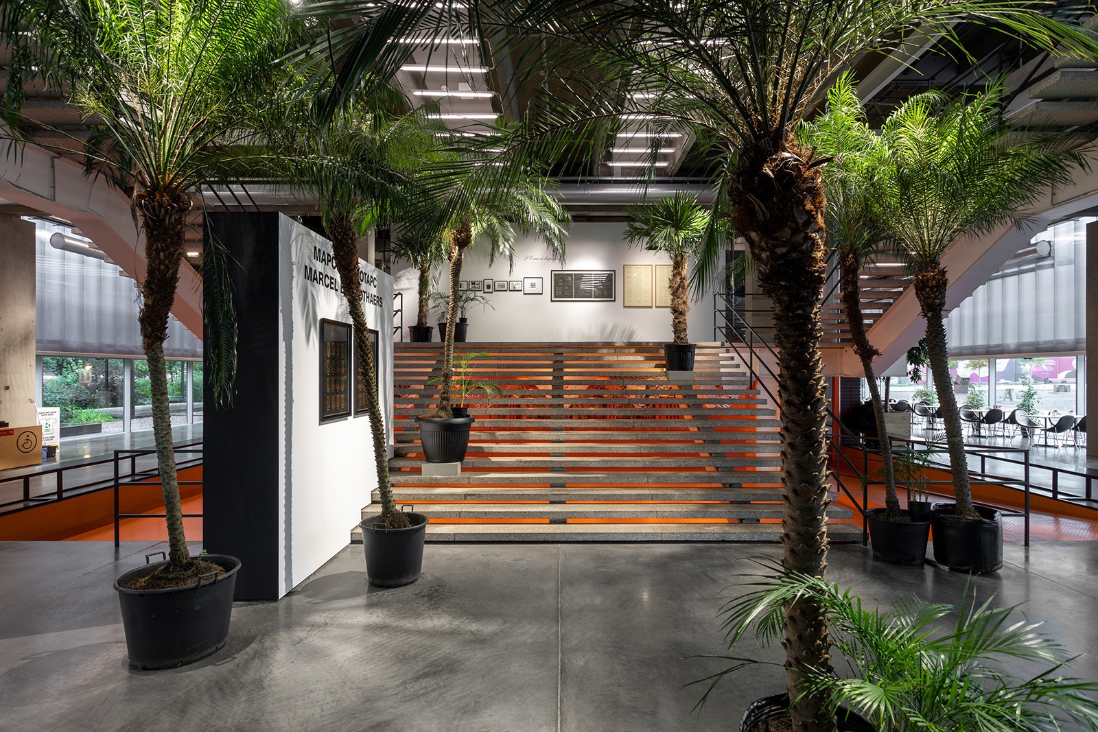 Выставка &laquo;Марсель Бротарс. Поэзия и образы&raquo; в Музее современного искусства &laquo;Гараж&raquo;. Москва, 2018Фото: Иван Ерофеев&copy; Музей современного искусства &laquo;Гараж&raquo;