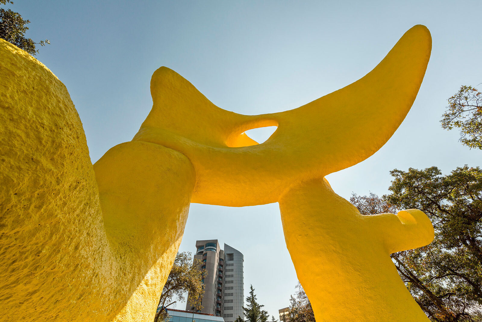 Pierre Sz&eacute;kely. El Sol B&iacute;pedo, 1968