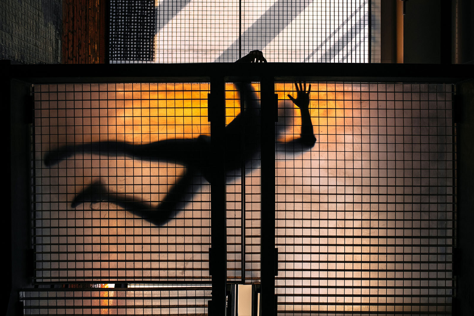 Photo: Anton Donikov&copy; Garage Museum of Contemporary Art