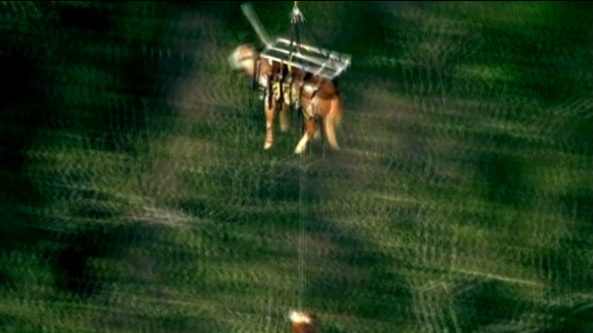 Майкл Робинсон. Последующее предстоящее без потерь