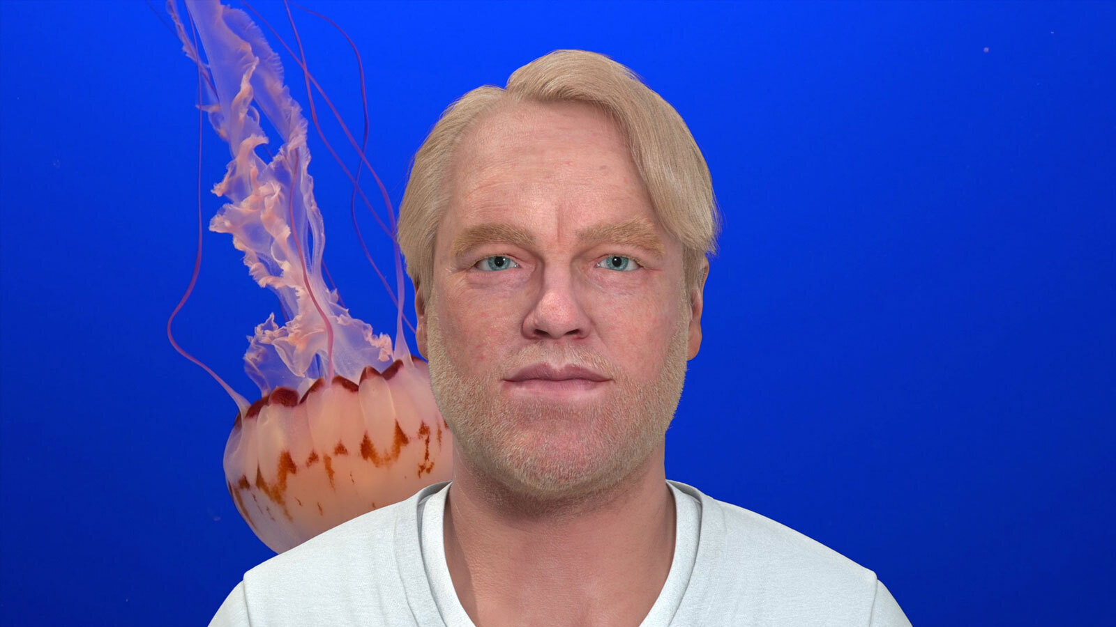 Сесиль Эванс. Гиперссылки, или Этого не было.&nbsp;2014. Видео. 22 мин. 30 сек.