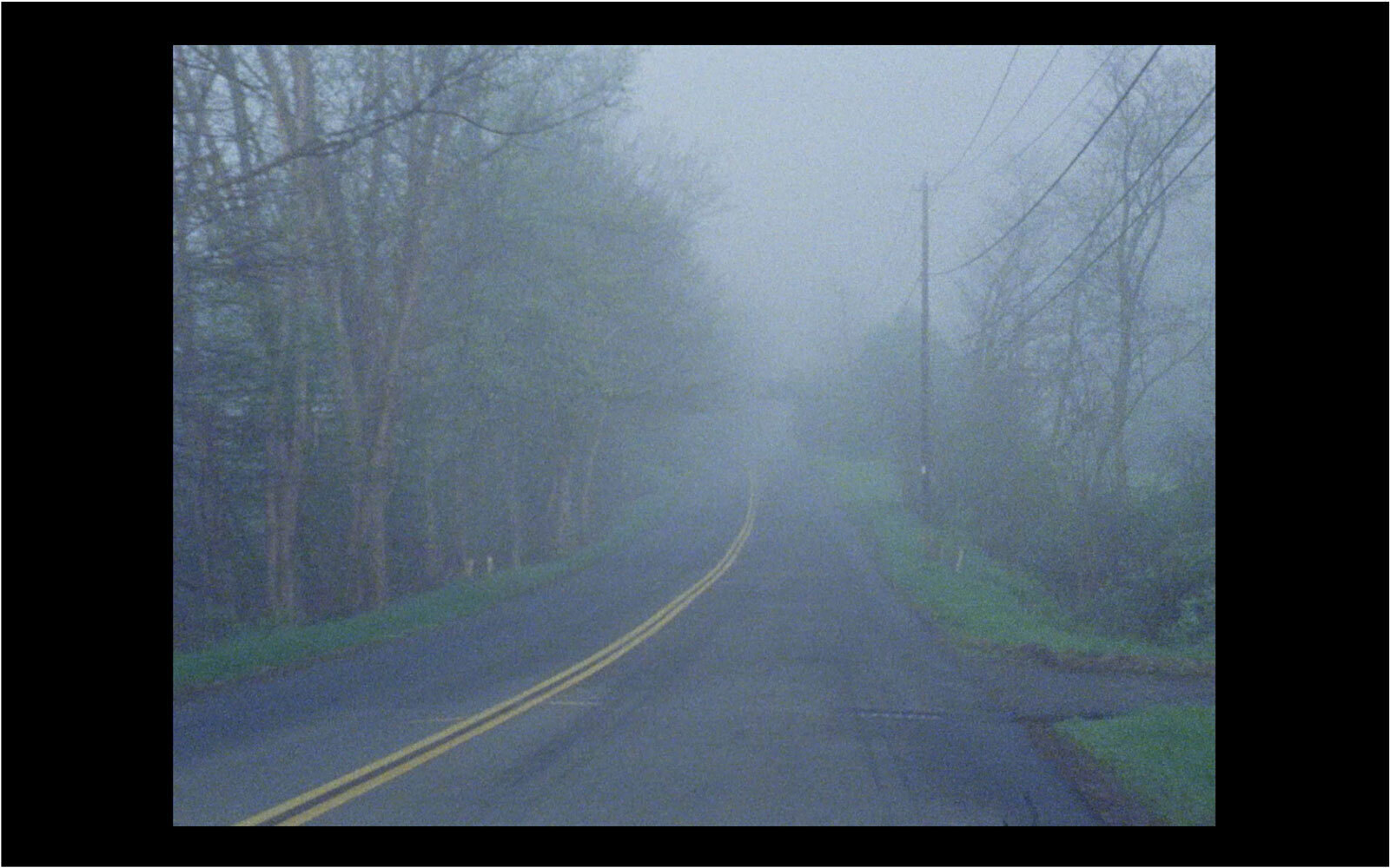 Синтия Мадански. Willie and Brewsie. 2018Кадр из фильмаПредоставлено автором