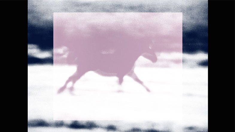 Синтия Мадански. GRACE + GRAVITY. 2017Кадр из фильмаПредоставлено автором